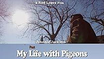 Watch My Past Life with Pigeons