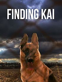 Watch Finding Kai