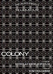 Watch Colony