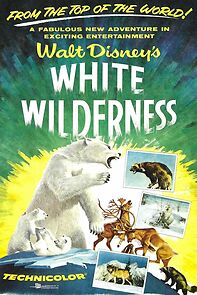 Watch White Wilderness