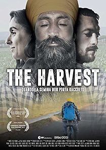 Watch The Harvest