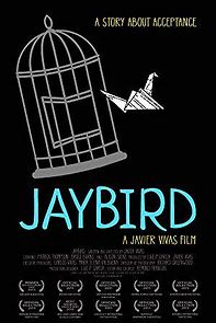Watch Jaybird
