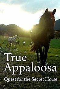 Watch True Appaloosa