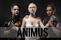 Watch Animus