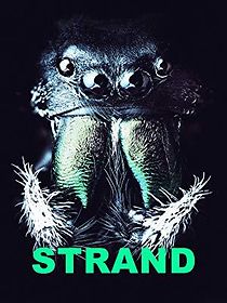 Watch Strand