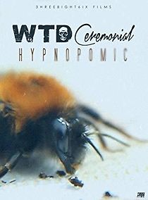 Watch WTD Ceremonial: Hypnopompic