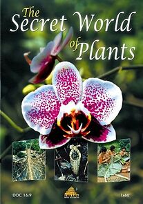 Watch The Secret World of Plants