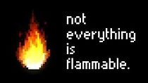 Watch Not Everything Is Flammable