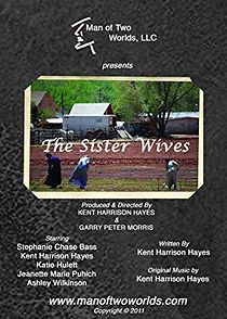 Watch The Sister Wives