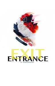 Watch Exit/Entrance or Transumanar (Short 2015)