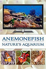 Watch Anemonefish: Nature's Aquarium