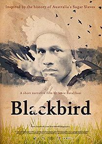 Watch Blackbird