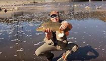 Watch Carp on the Fly: Los Angeles River