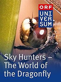 Watch The Sky Hunters