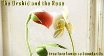 Watch The Orchid and the Rose