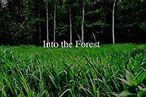 Watch Into the Forest