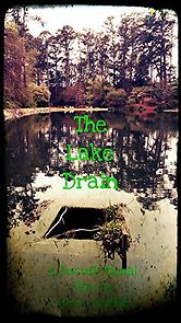 Watch The Lake Drain