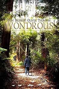 Watch Wondrous