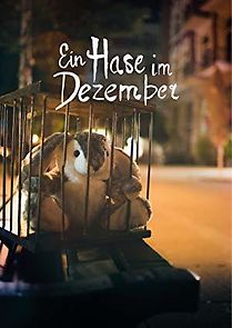 Watch Ein Hase im Dezember