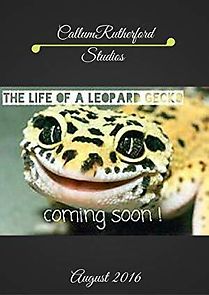 Watch The Life of a Leopard Gecko