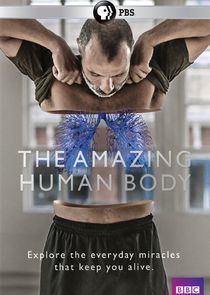 Watch The Amazing Human Body