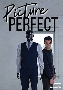 Watch Picture Perfect