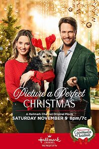 Watch Picture a Perfect Christmas