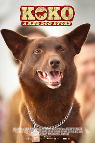 Watch Koko: A Red Dog Story