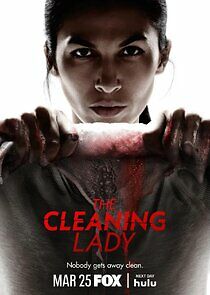 Watch The Cleaning Lady