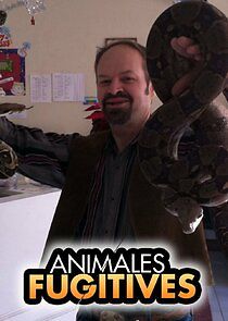 Watch Animal Fugitives