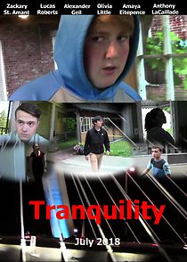 Watch Tranquility - An Independent Espionage/Crime Film