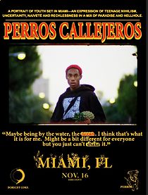 Watch Perros Callejeros