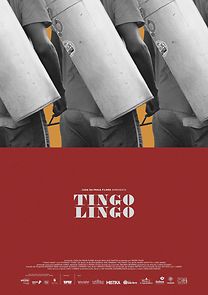 Watch Tingo Lingo