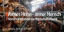 Watch Armes Huhn - armer Mensch: Vom Frühstücksei zur Wirtschaftsflucht