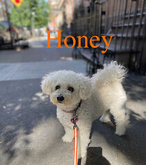 Watch Honey (Short 2014)