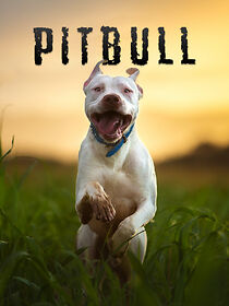 Watch Pitbull