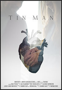 Watch Tin Man