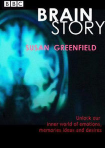 Watch Brain Story