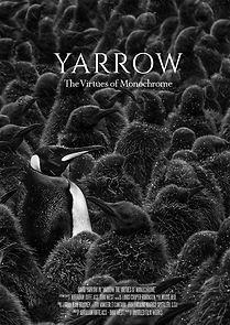 Watch Yarrow: The Virtues of Monochrome (Short 2019)