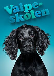 Watch Valpeskolen