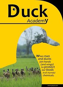 Watch Duck Academy