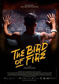 Watch Bird of Fire