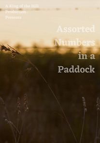 Watch Assorted Numbers in a Paddock (Short 2021)