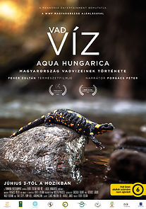 Watch Vad víz - Aqua Hungarica