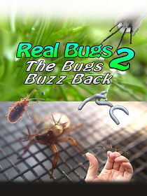 Watch Real Bugs 2 the Bugs Buzz Back