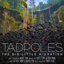 Watch Tadpoles: The Big Little Migration (Short 2020)