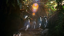 Watch Penguins: Meet the Family