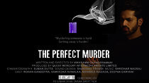 Watch The Perfect Murder