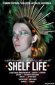 Watch Shelf Life