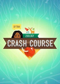 Watch Crash Course Zoology